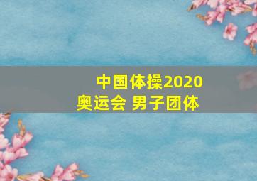 中国体操2020奥运会 男子团体